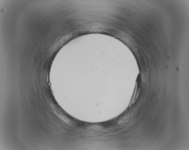 X0000062900397200602101812