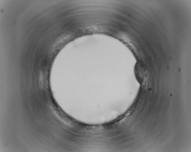 X0000062900398200602101812