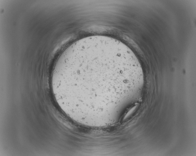 X0000062900399200602101812