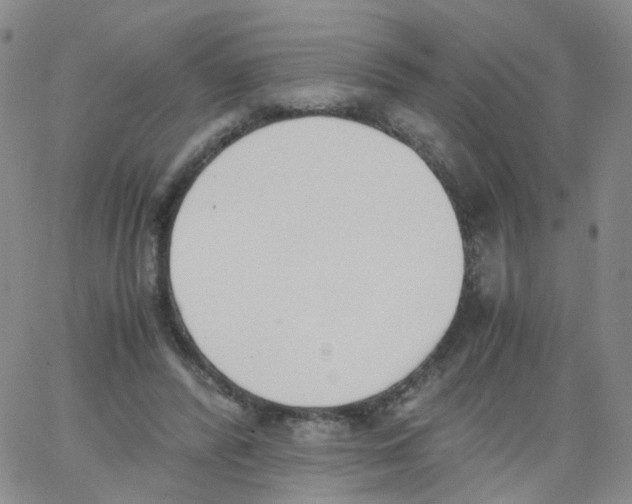 X0000062900400200602101812