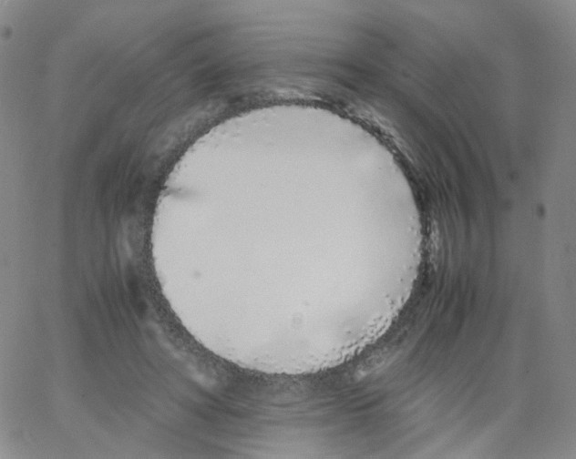 X0000062900402200602101812