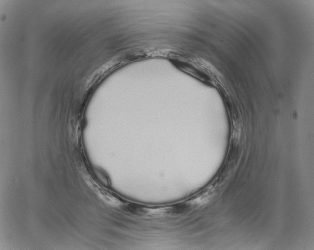 X0000062900405200602101812