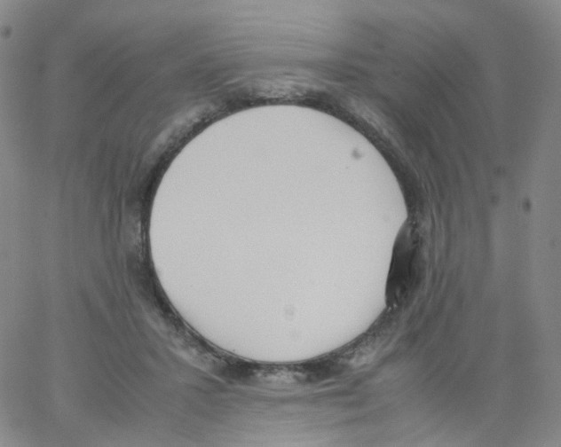 X0000062900407200602101812