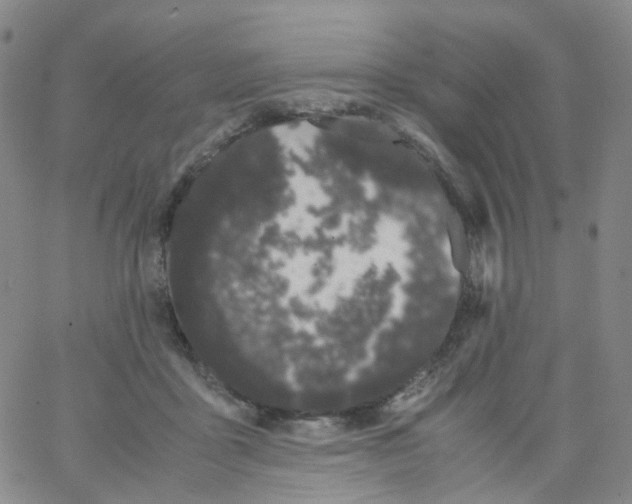 X0000062900411200602101812