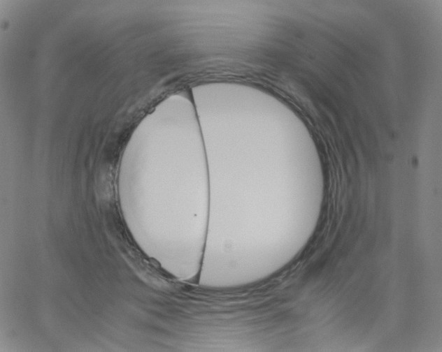 X0000062900413200602101812