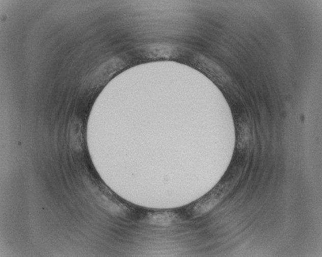 X0000062900414200602101812