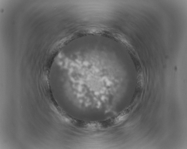 X0000062900415200602101812