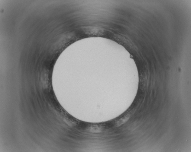 X0000062900416200602101812