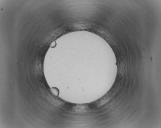 X0000062900418200602101812