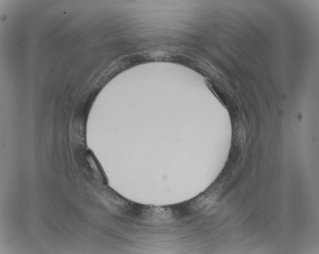 X0000062900421200602101812