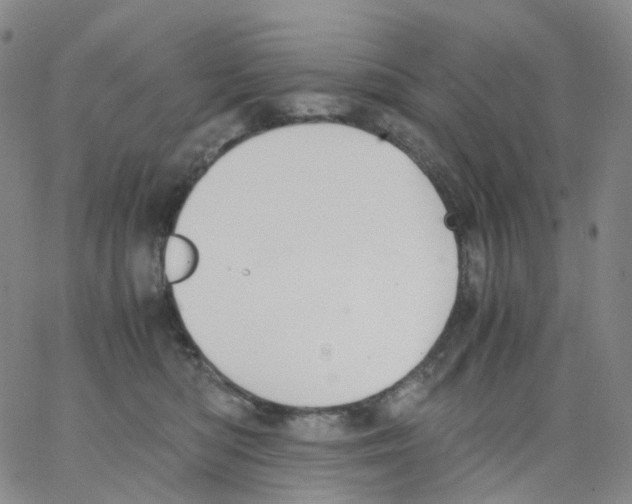 X0000062900422200602101812