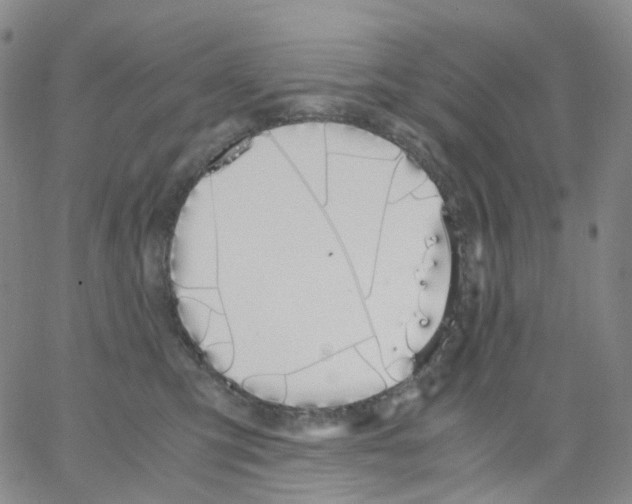 X0000062900423200602101812