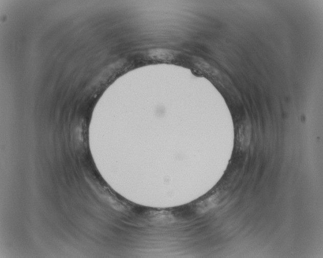 X0000062900424200602101812