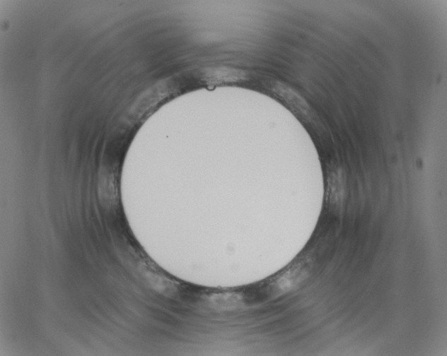 X0000062900426200602101812