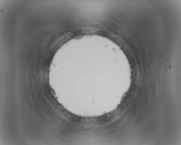 X0000062900427200602101812