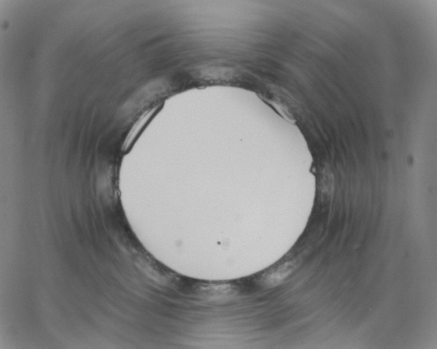 X0000062900428200602101812