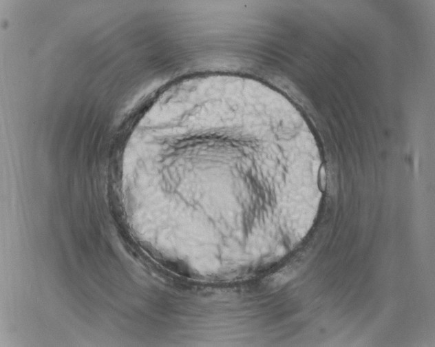 X0000062900434200602101811