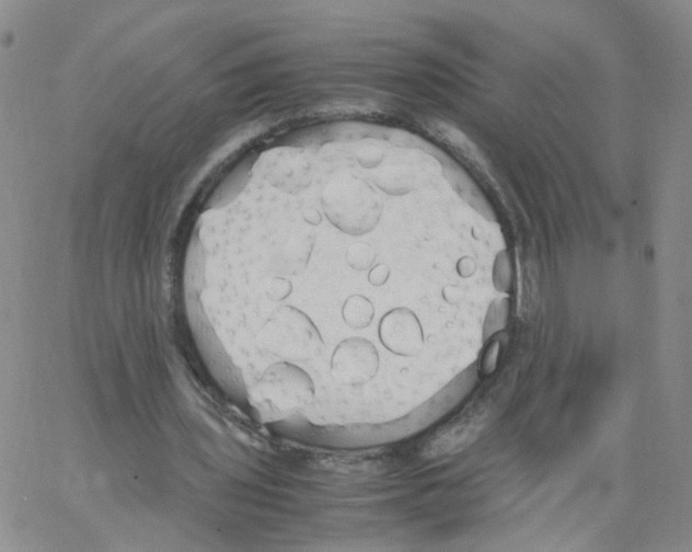 X0000062900435200602101811