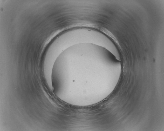 X0000062900436200602101811