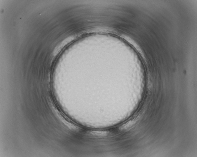 X0000062900437200602101811