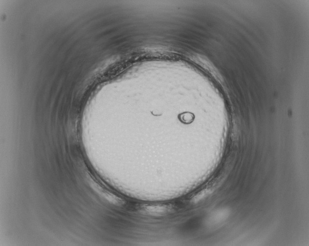 X0000062900441200602101811