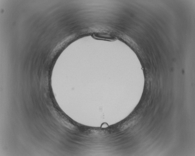 X0000062900442200602101811