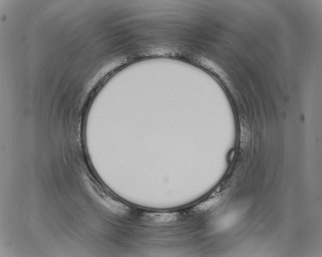 X0000062900443200602101811