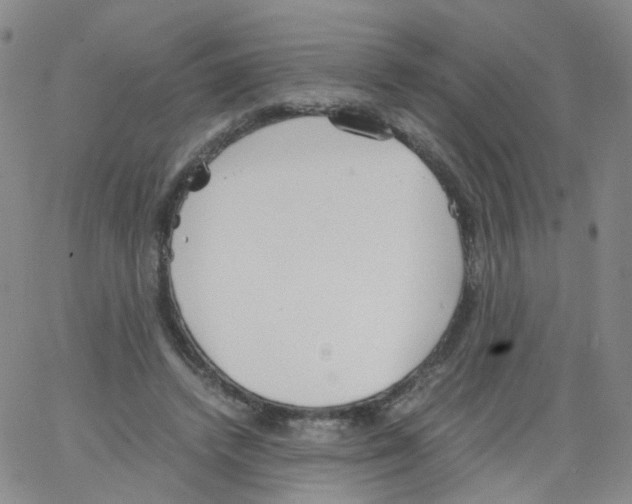 X0000062900448200602101811