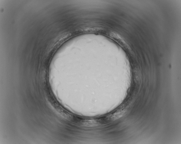 X0000062900451200602101811