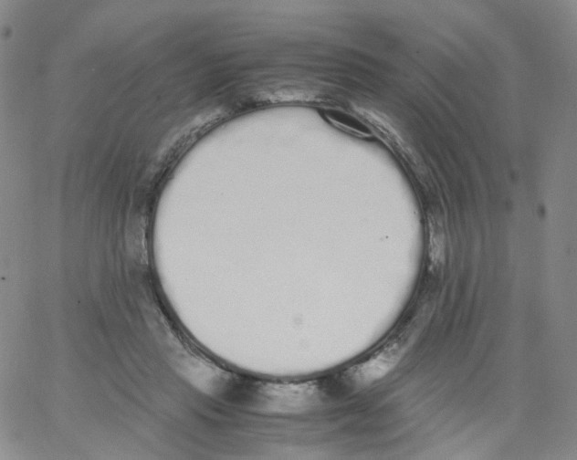 X0000062900453200602101811