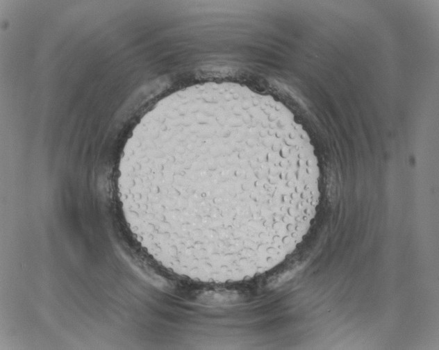 X0000062900455200602101811