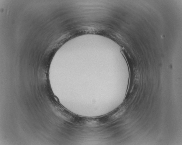 X0000062900456200602101811