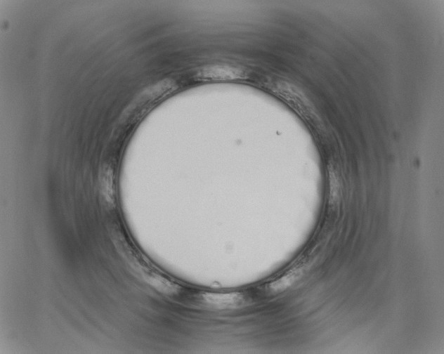 X0000062900457200602101811