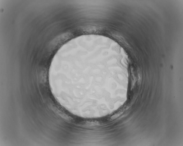 X0000062900458200602101811