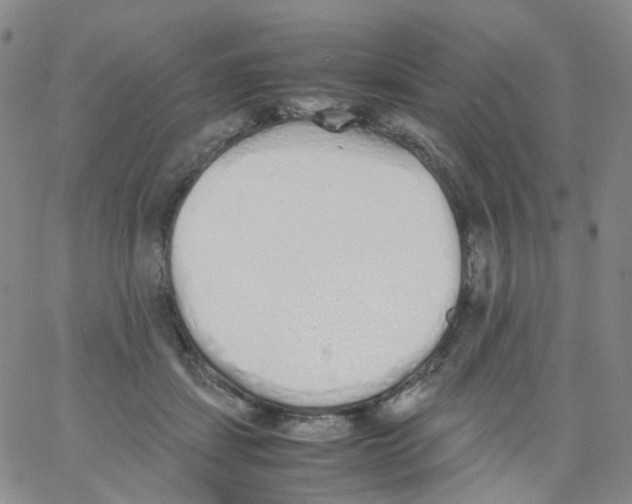 X0000062900459200602101811