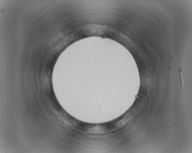 X0000062900460200602101811