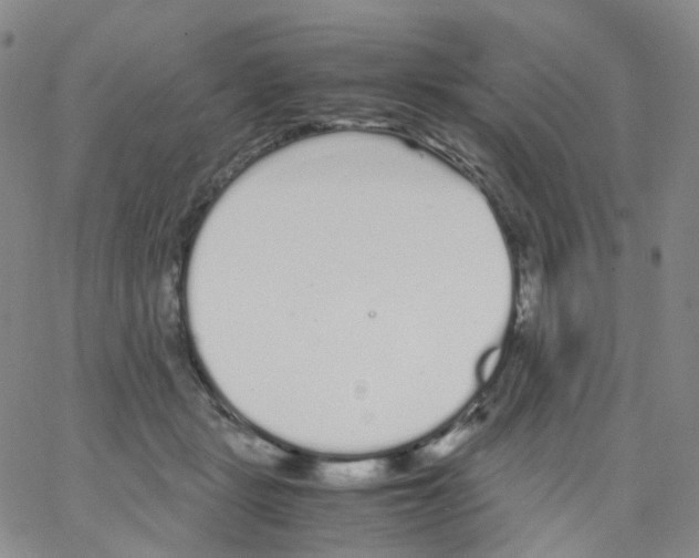 X0000062900461200602101811