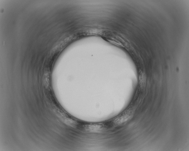 X0000062900462200602101811