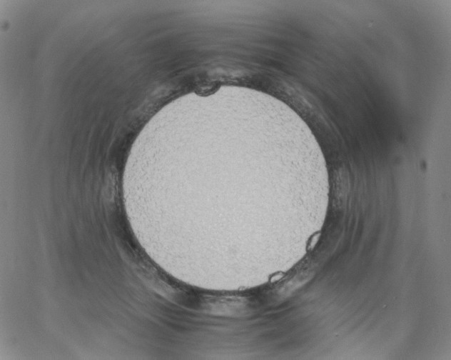 X0000062900463200602101811