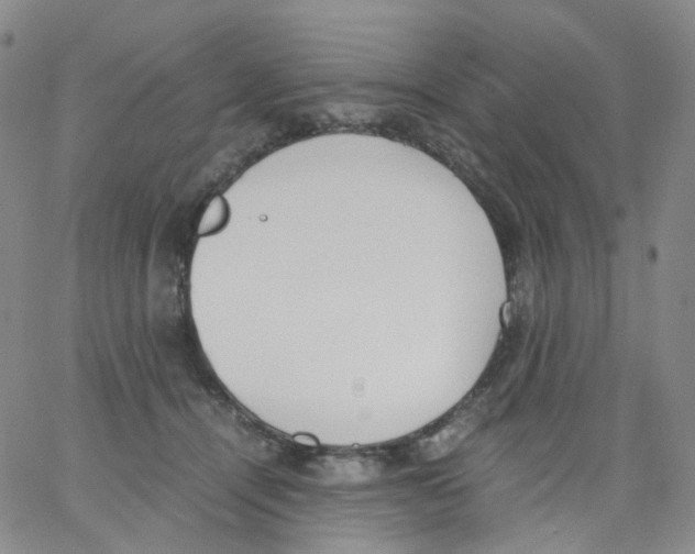 X0000062900464200602101811