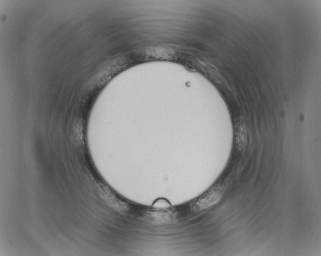 X0000062900466200602101811