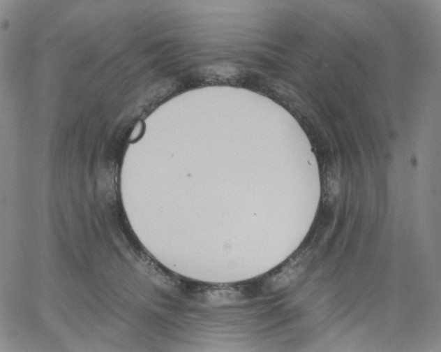 X0000062900468200602101811