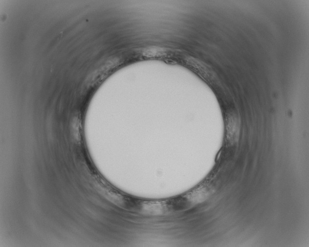 X0000062900470200602101811