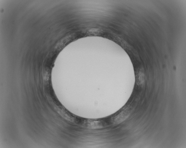 X0000062900472200602101811