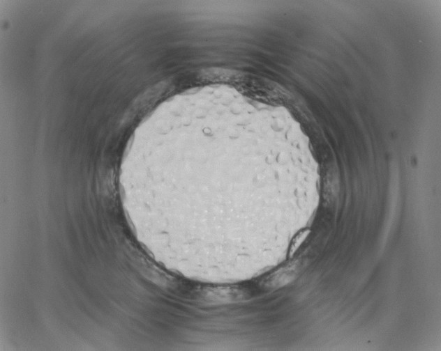 X0000062900473200602101811