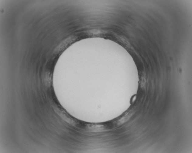 X0000062900476200602101811