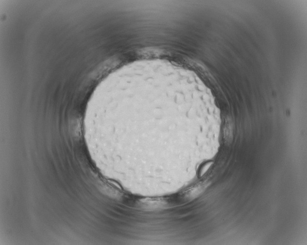 X0000062900477200602101811