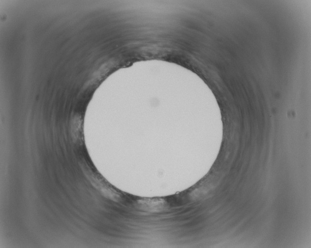 X0000062900480200602101811