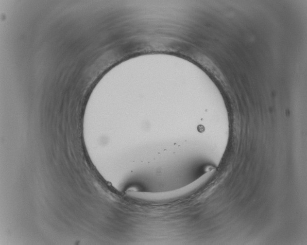 X0000062900481200602101811