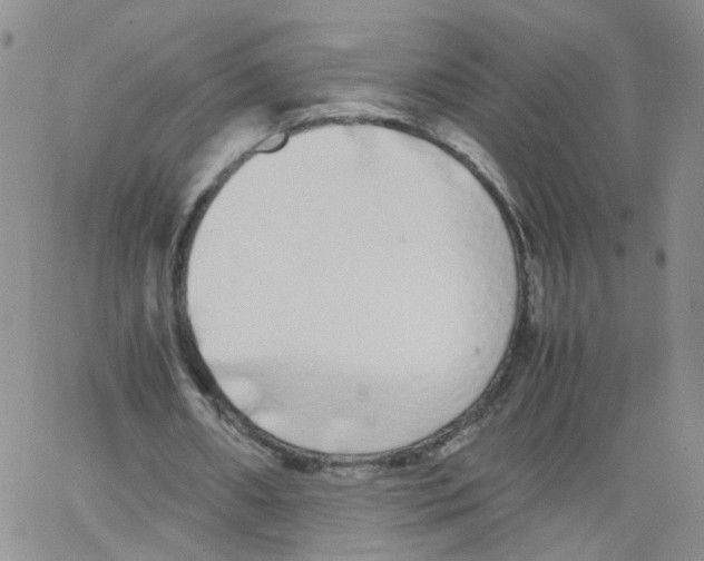 X0000062900482200602101811